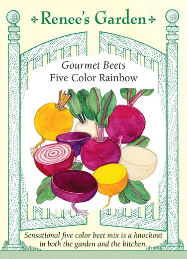 RG Beets Five Color Rainbow 